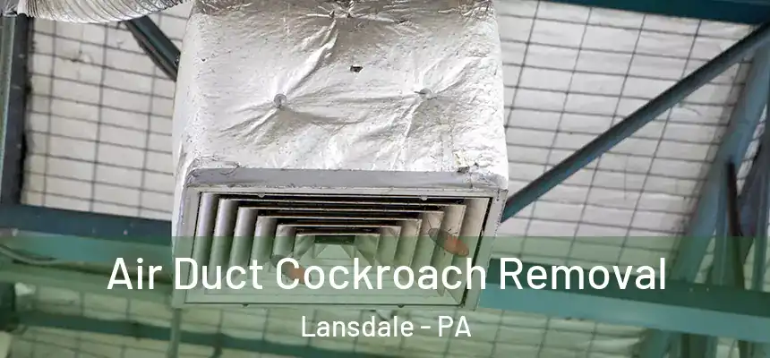  Air Duct Cockroach Removal Lansdale - PA