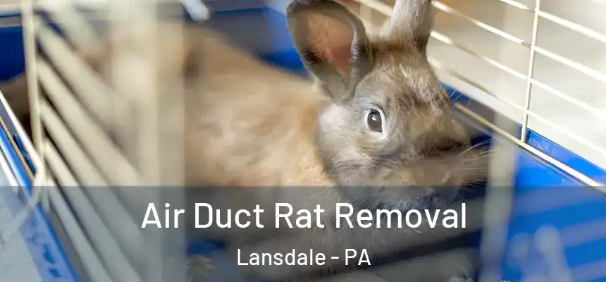  Air Duct Rat Removal Lansdale - PA