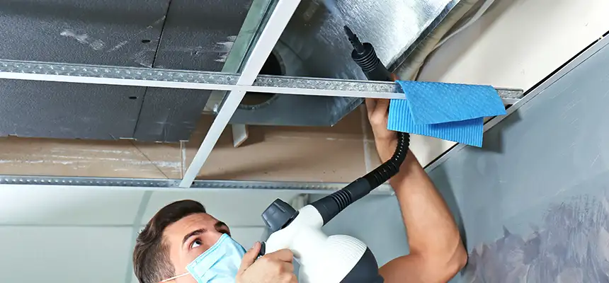 Our Air Duct Rodent Removal Services in Lansdale, PA