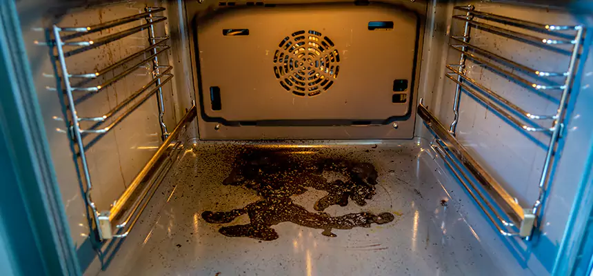 Our Dryer Vent Mold Cleaning Services in Lansdale, PA