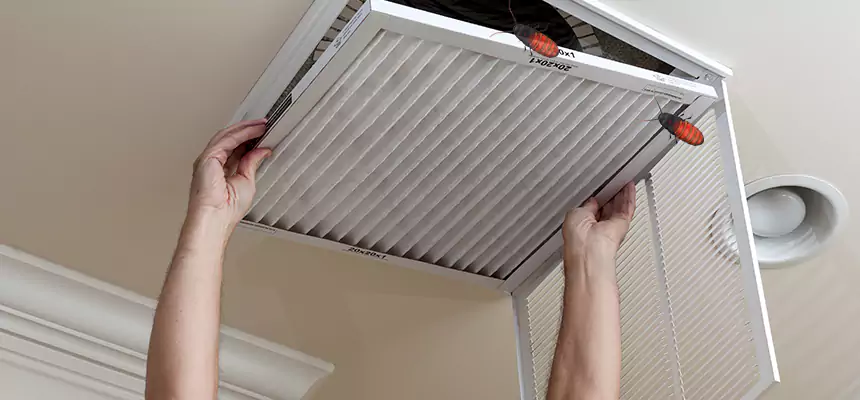 Our Insect Removal from Air Ducts Services in Lansdale, PA