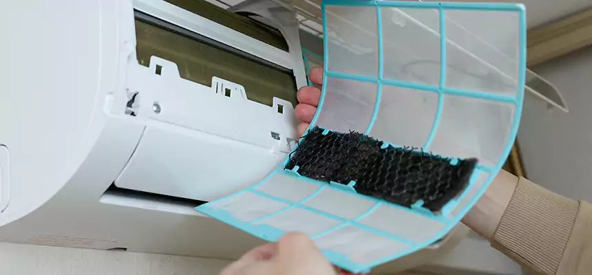 Gentle Ductwork Odor-Control Pet Dander Duct Cleaning in Lansdale, PA