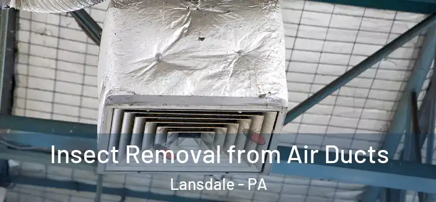  Insect Removal from Air Ducts Lansdale - PA
