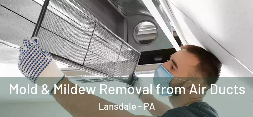  Mold & Mildew Removal from Air Ducts Lansdale - PA