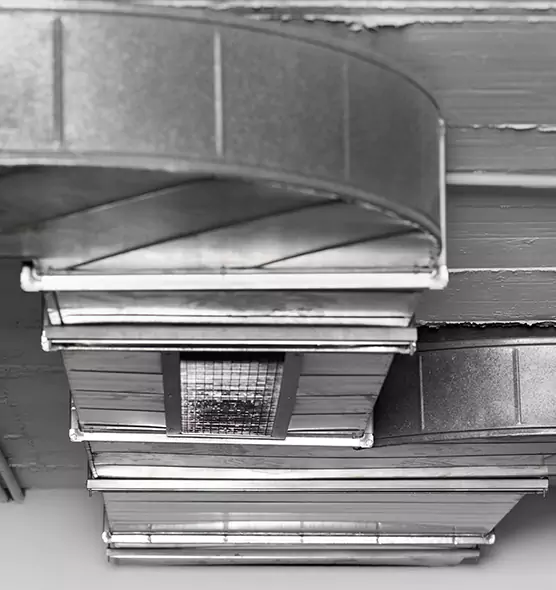 Professional Air Duct Pest Removal in Lansdale, PA