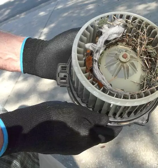 About Air Duct Rat Removal in Lansdale, PA