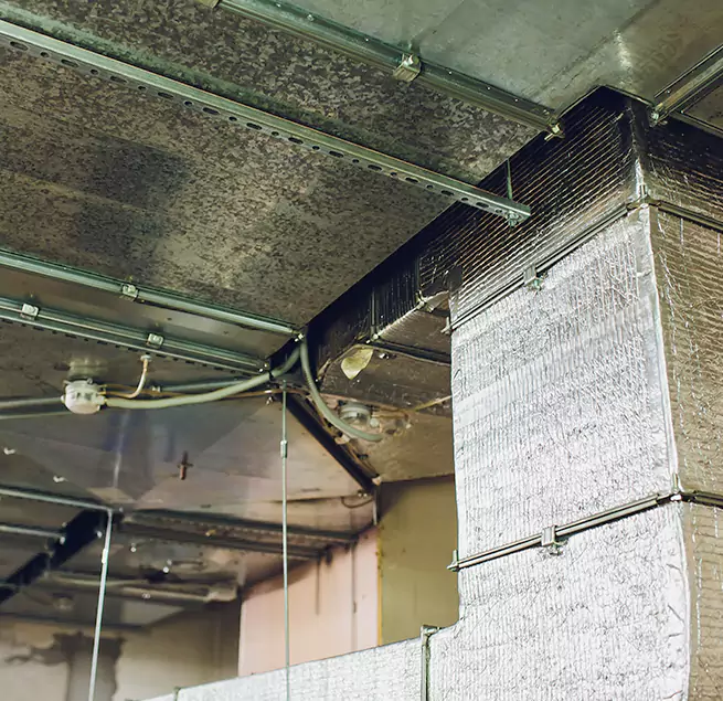 Why Homeowners & Businesses Trust Us in Lansdale, PA?